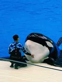 【長隆飛船樂園】全球最大室內主題樂園，微信小程序安排行程