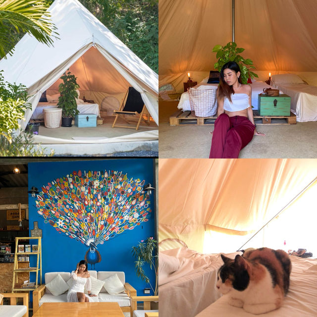 Roost Glamping Phuket 🏕️🔆🌤️