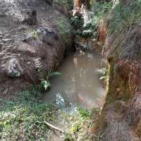 Lang Biang Mountain Hike