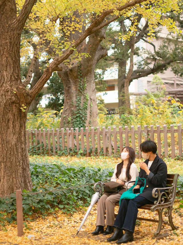 🇯🇵 東京｜明治神宮外苑前 ∙ 金黃色的銀杏並木大道