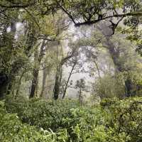 Reach new heights at Doi Inthanon – Thailand’s roof is calling!