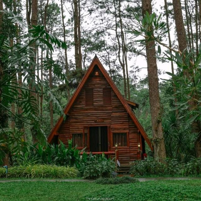 สวนป่าดอยบ่อหลวง อำเภอฮอด เชียงใหม่