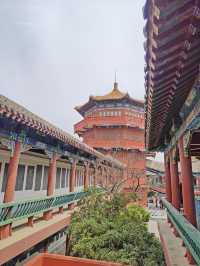 集當代書法大全藝術風采：中國翰園