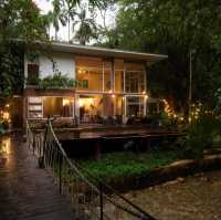 บ้านในหมง treehouse 