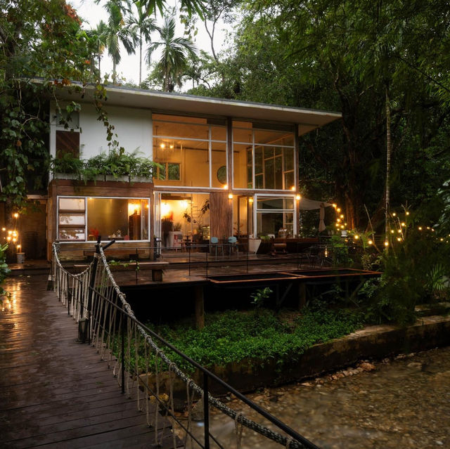 บ้านในหมง treehouse 