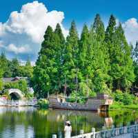 澱山湖風景區：湖光山色