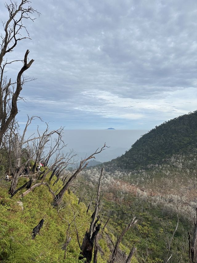 A Day Trip to Kawah Putih: Itinerary & Tips for an Unforgettable Visit