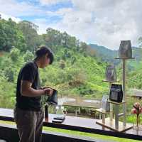 Matsika Coffee Farm บ้านปางขอน