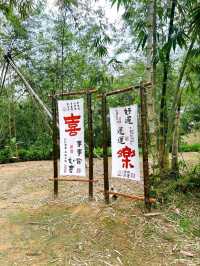 Discover Serenity at Putuo Village