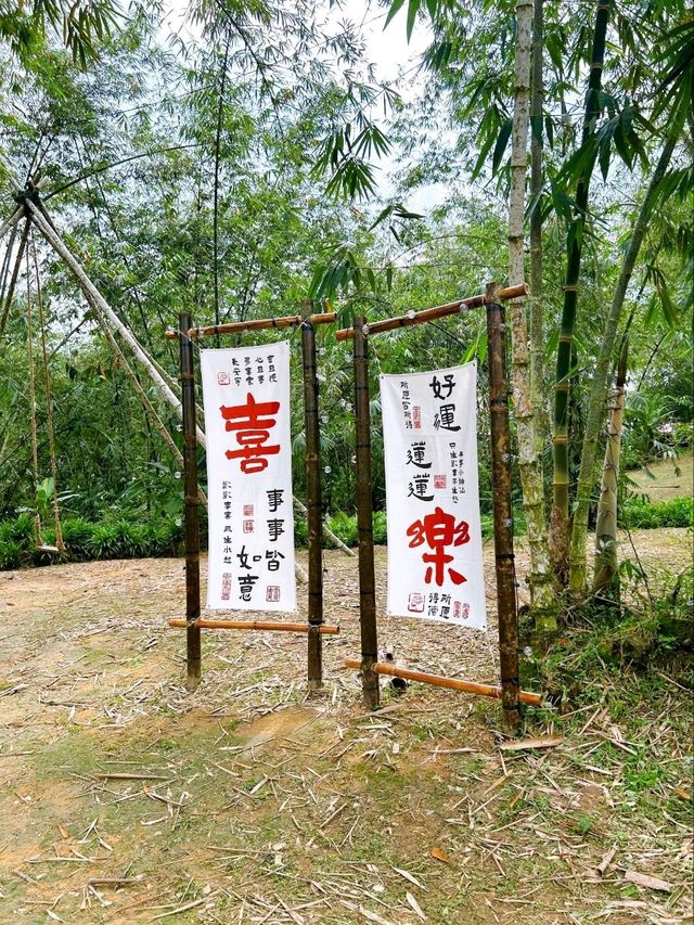 Discover Serenity at Putuo Village