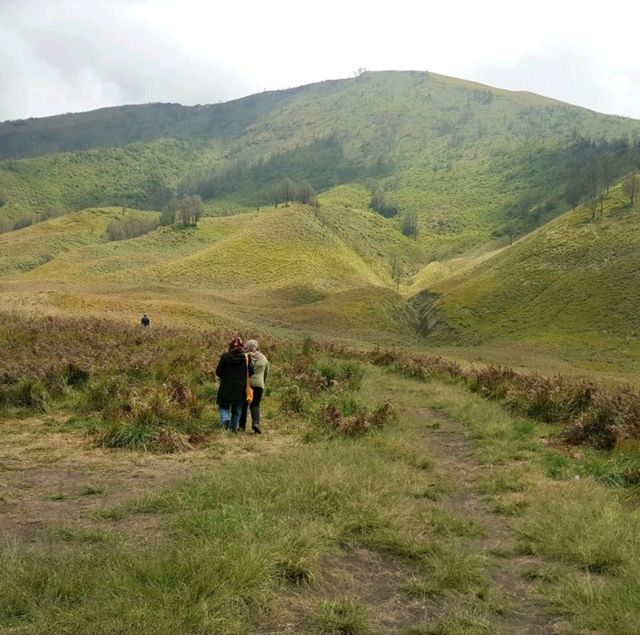 GRASSLANDS OF SAVANNAH HILLS 