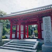四国遍路　屋島寺