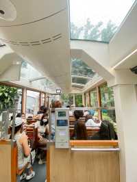 Travel Hacks that You Should Know Before Visiting The Peak, Hong Kong