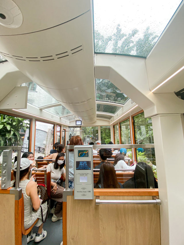 Travel Hacks that You Should Know Before Visiting The Peak, Hong Kong