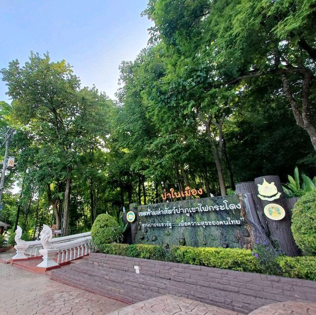 ป่าในเมือง ณ เขากระโดง บุรีรัมย์
