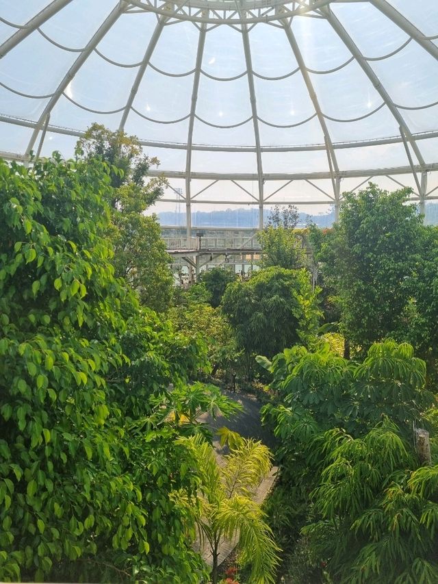 순천만 식물원