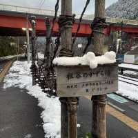 祖谷温泉　日本三大秘境！！