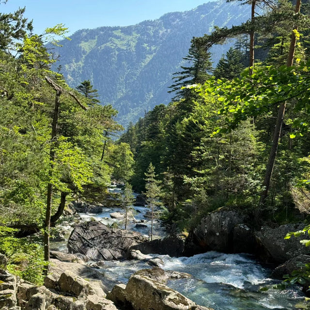 ～大雪山國立公園～仙境探險～
