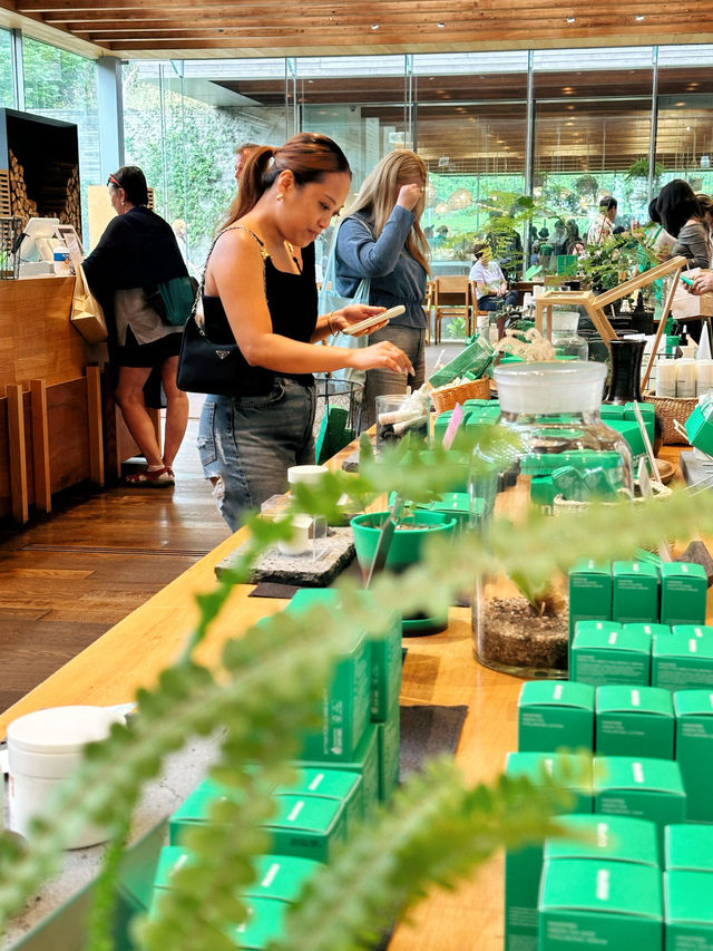 Experience the essence of Jeju @ Innisfree House 🇰🇷 