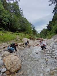 Spring Garden Kundasang, Beautiful floral and landscape