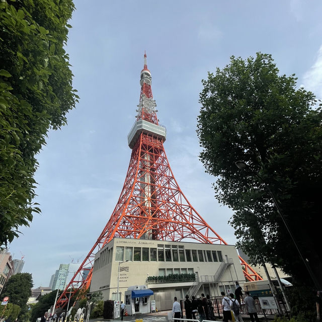 Tokyo Wonders: Explore Iconic Sights, Culture, and Culinary Delights