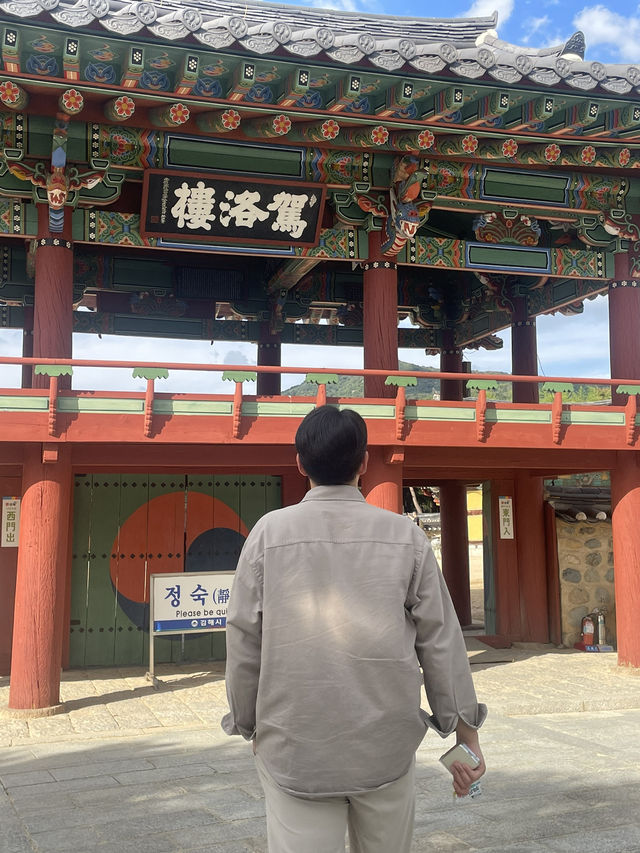 날 좋은 날 왕릉 산책 어때요👑⛰️🚶‍♀️
