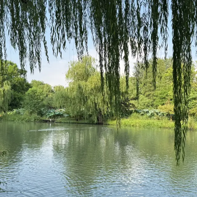 Slim west lake, yangzhou瘦西湖