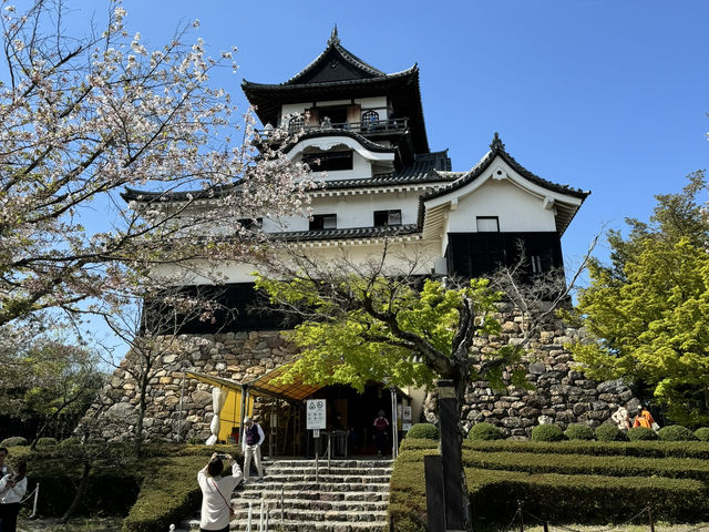 尋找櫻花·名古屋犬山城之旅