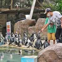 สวนสัตว์เปิดเขาเขียว ชลบุรี