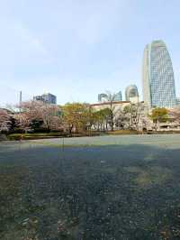 【東京タワー:東京都港区】美しい東京のシンボル♪