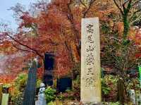 高尾山紅葉-寺廟、鳥居與紅葉融合，形成美麗的風景畫