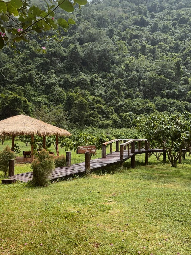 BaanKhaoFae Farm Eatery & Coffee 🏠🪵☕️🍃🌾 