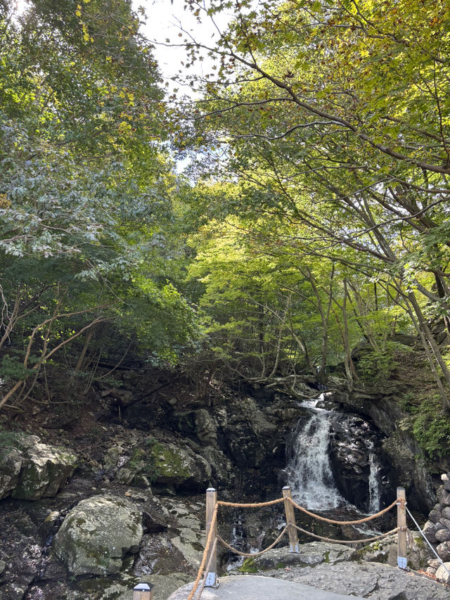 사람이 직접 쌓은 돌탑의 어마어마한 규모에 놀라는 삼성궁 ❤️