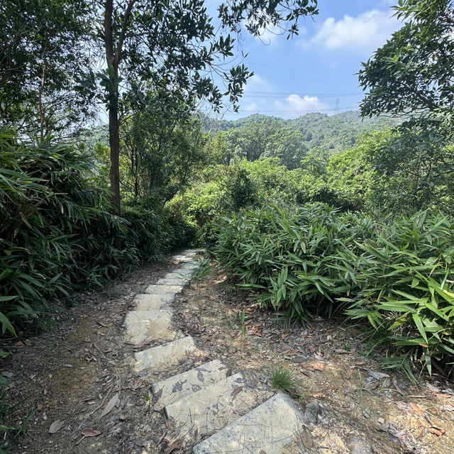 大欖郊野公園·香港徒步🇭🇰·老少咸宜·Happy