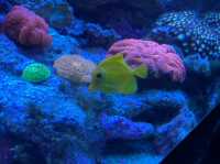 【港区】品川にある人気水族館🐬🐟