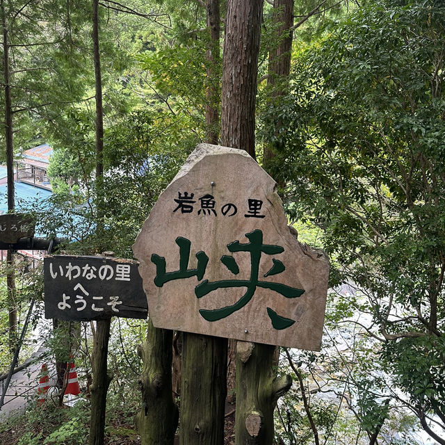 【岐阜旅行】岩魚の里 峡