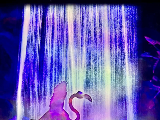 福岡TeamLab 森林-以森林為主題的沉浸式藝術展覧