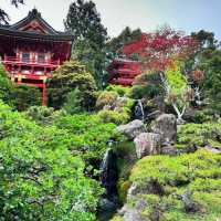 善學院：靜謐避風港 🍃⛩️