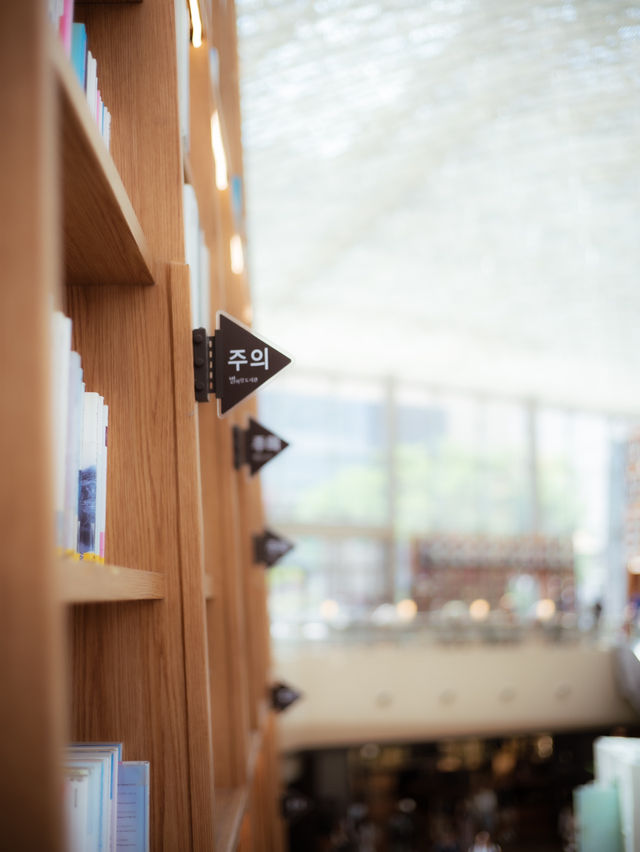 ⦅韓国ソウル⦆ ピョルマダン図書館～光が降り注ぐ幻想的な図書館建築💫