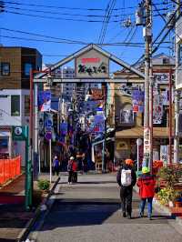 探索懷舊東京的秘密基地：谷中銀座商店街漫遊指南🛤️🐱