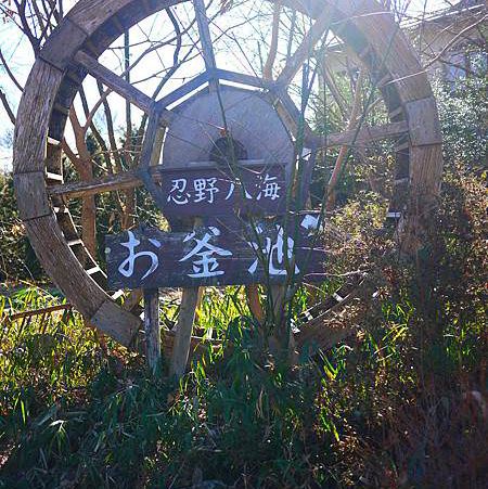 東京旅遊之～忍野八海