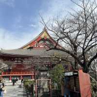 穿和服游走日本浅草寺