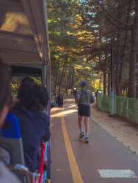 물범카 타고 서해바다를 한 눈에 담을 수 있는 이곳 “월미산 ” 