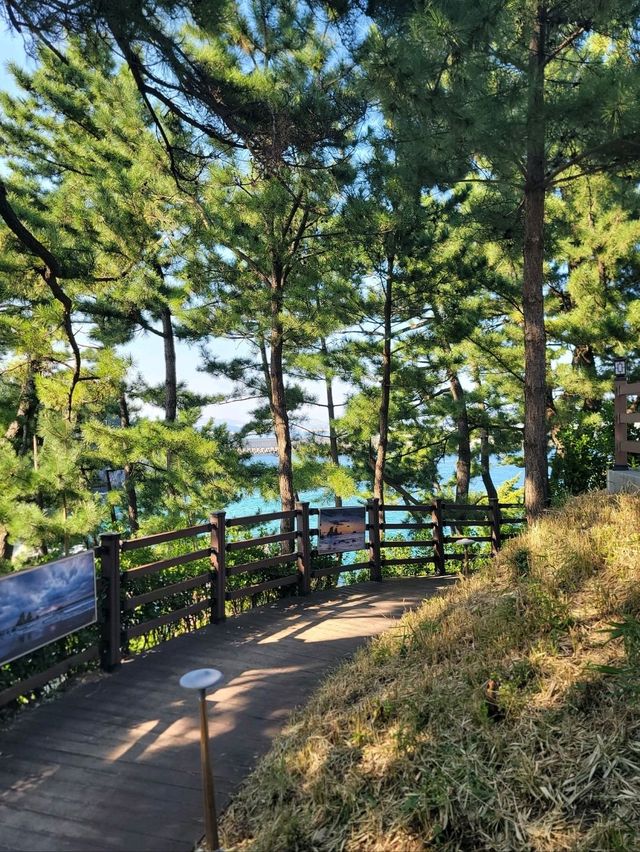 동해여행 필수코스 추암촛대바위🪨