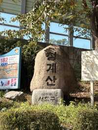 友達と1泊2日강릉trip &1人で4泊5日서울trip🍀