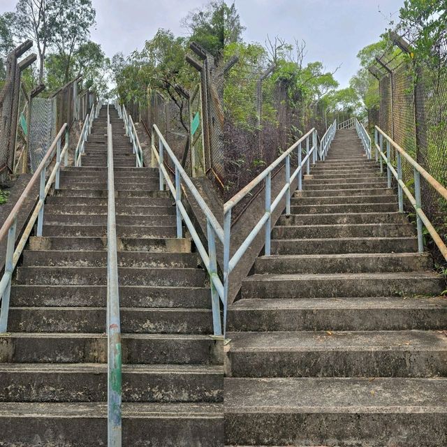 青衣無敵景觀郊遊路線😎