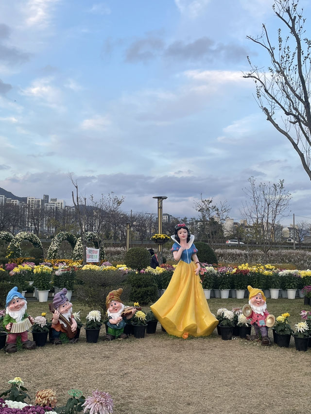 국화축제를 즐기고 싶다면! (부산근교 국화축제)