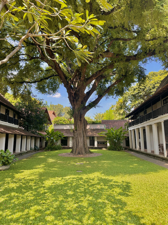 치앙마이 전통가옥 감성 가득한 올드타운 숙소 🌳
