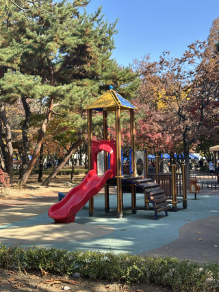 首爾公園之旅，在寧靜中感受秋天的氣息🍁