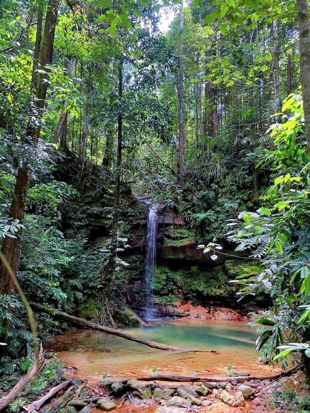 An appealing and challenging outdoor adventure@The Niah National Park.